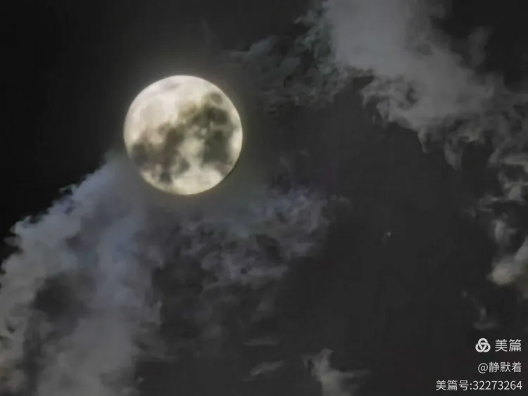 秋月映云秋月明